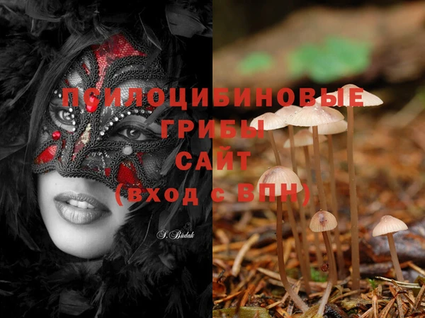 MDMA Premium VHQ Каменск-Шахтинский